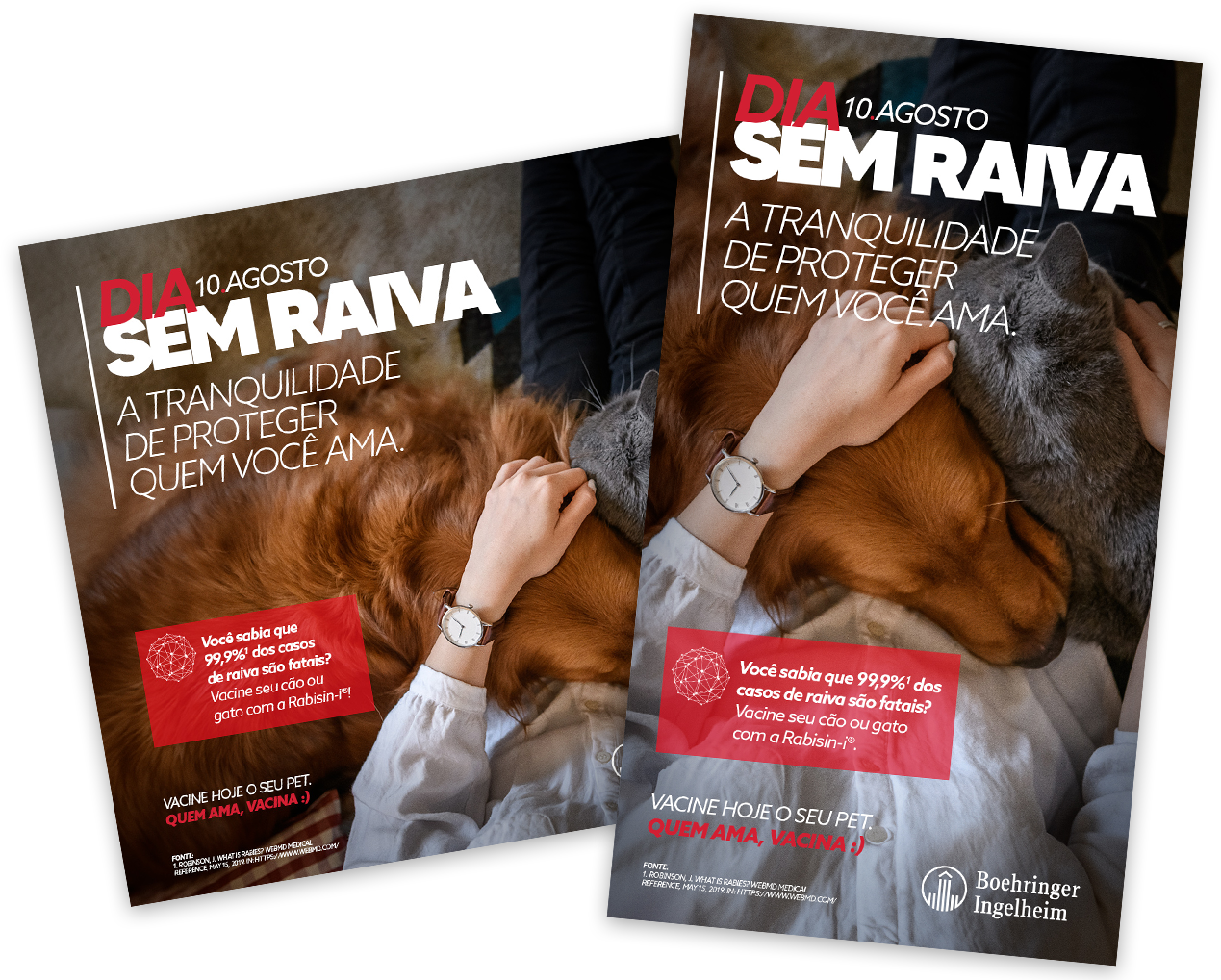 Peças da campanha Rabisin