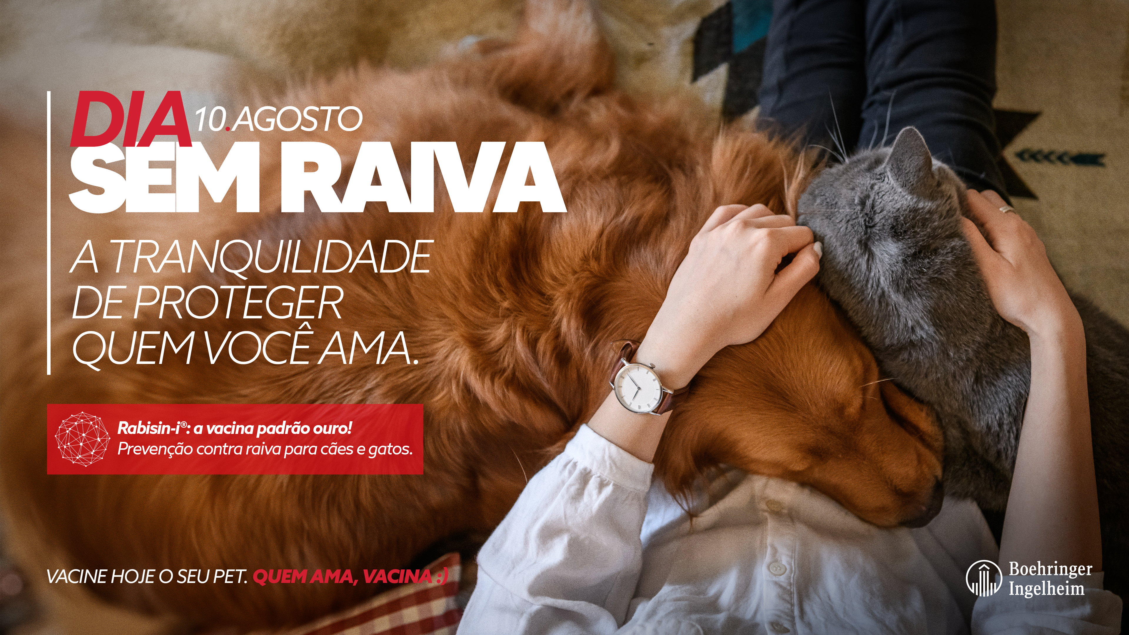 KV Dia Sem Raiva — Rabisin