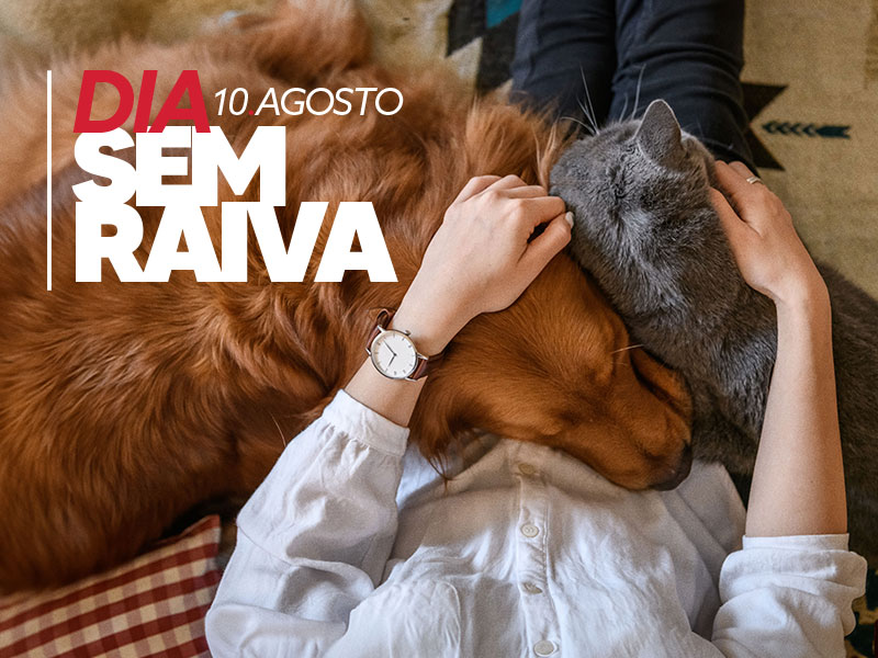 DIA SEM RAIVA