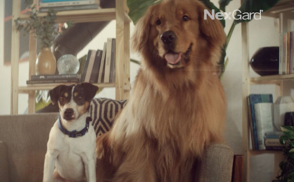 boehringer-ingelheim